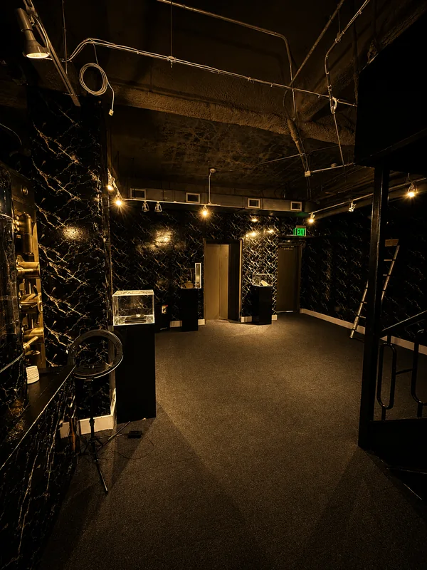 Entrance hall with black marble walls, a lit display pedestal and track lighting